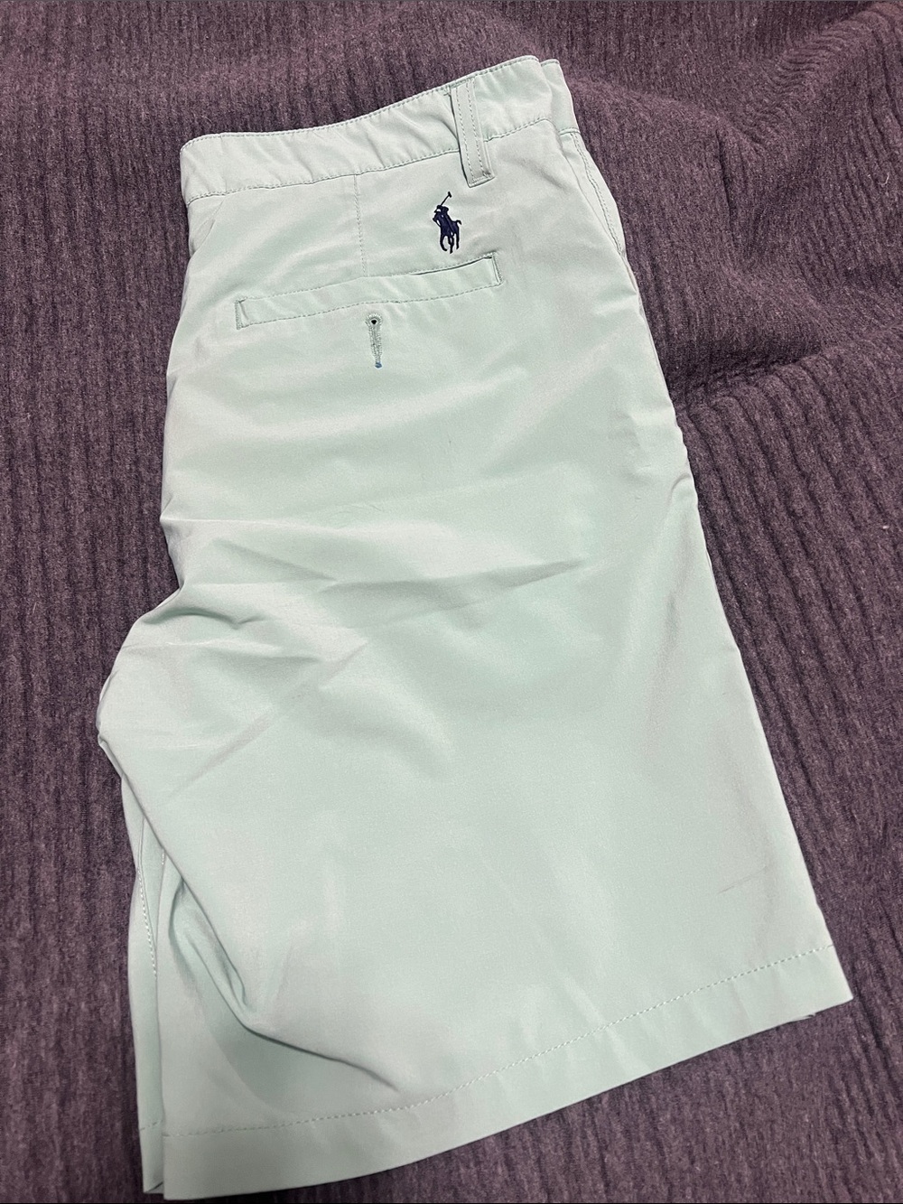 Polo by Ralph Lauren Mint Green Chino Shorts